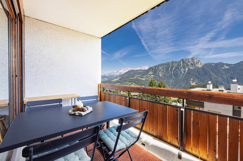 Lumineux appartement de 2.5 pièces proche des pistes de ski (8)