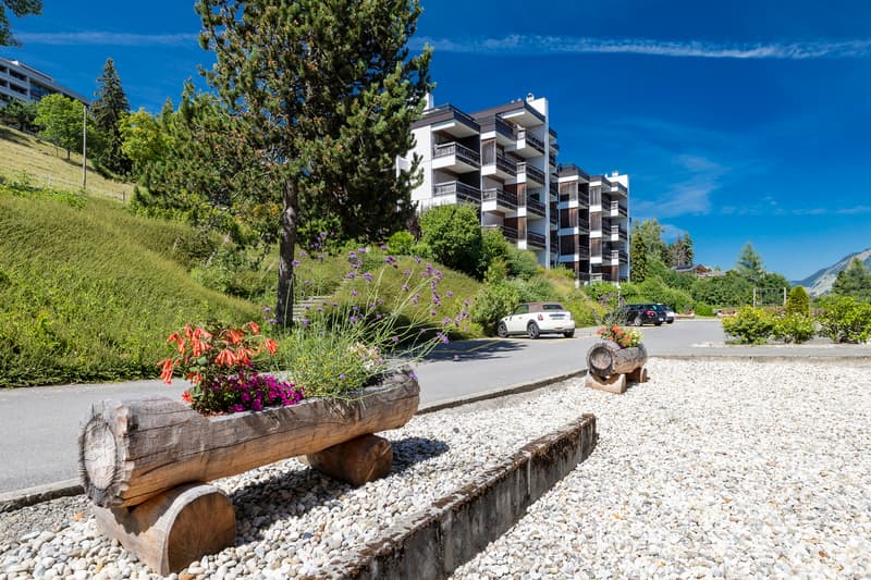Lumineux appartement de 2.5 pièces proche des pistes de ski (13)