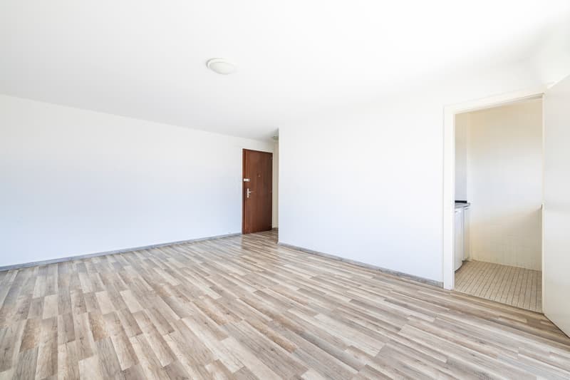 Charmant studio avec balcon et vue lac sans vis-à-vis (8)