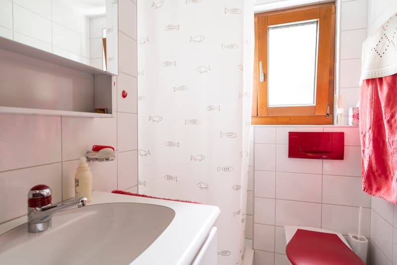 Villa individuelle de 7 pièces avec grand jardin (11)
