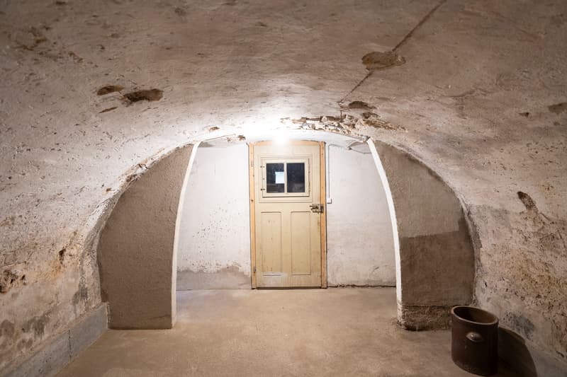 Corps de ferme avec habitation, écurie, stabulation (11)