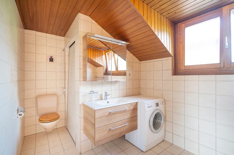 Vivre et investir à Erde - 2 appartements (6)