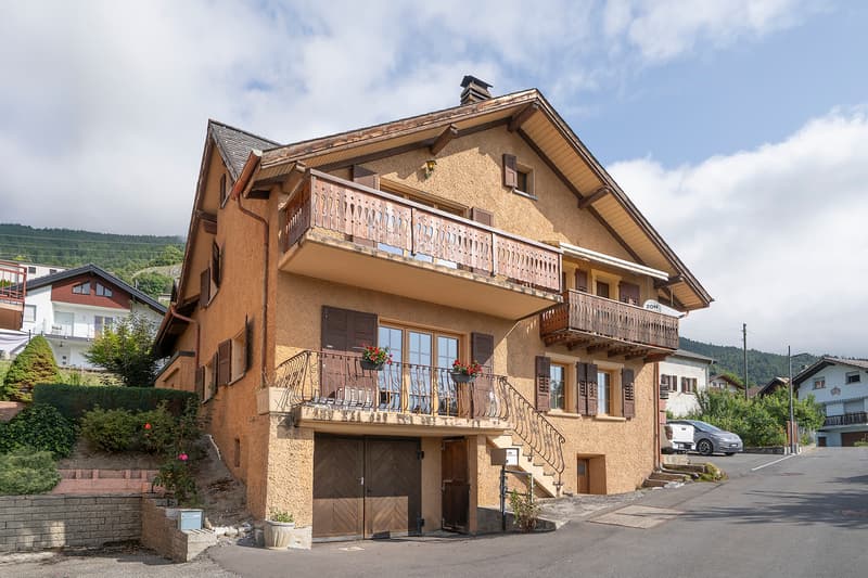 Vivre et investir à Erde - 2 appartements (1)