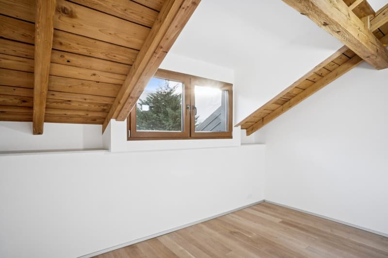 Un attique de charme aux beaux volumes (3)