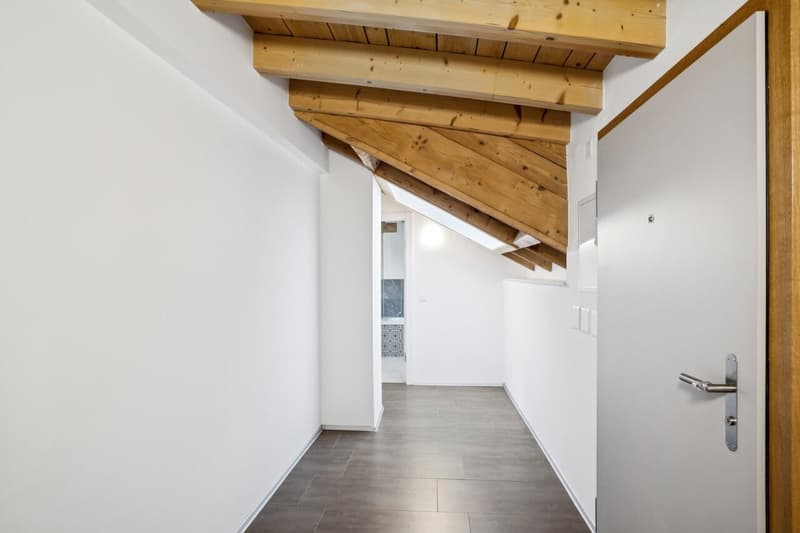 Un attique de charme aux beaux volumes (7)