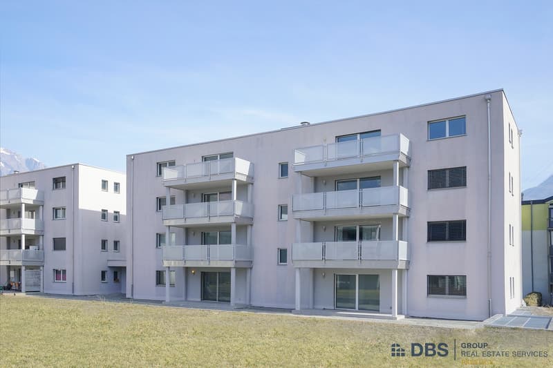 Lumineux appartement de 5.5 pièces (1)