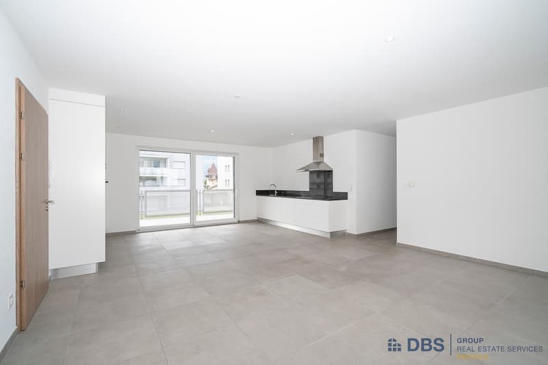 Lumineux appartement de 5.5 pièces (4)