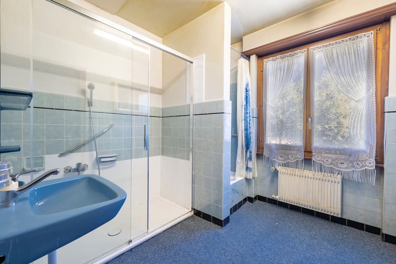 Appartement 6 pièces en rez-de-jardin - Centre ville de Saint-Maurice (10)