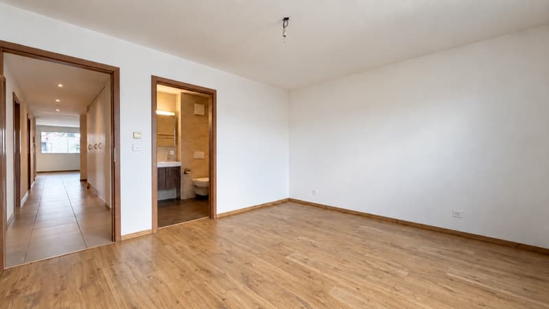 APPARTEMENT FAMILIAL AU DERNIER ETAGE AVEC VUE SUR LES PREALPES (10)