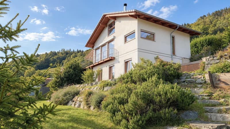 Villa individuelle avec vue panoramique sur les Dents du Midi (11)