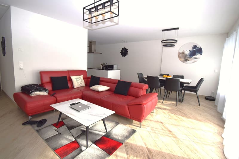 Un bel espace de vie et une terrasse qui fait la différence ! (3)