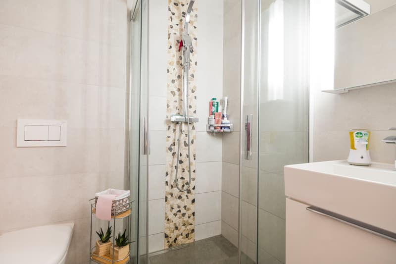 Spacieux 5.5 pièces MINERGIE avec balcon (10)