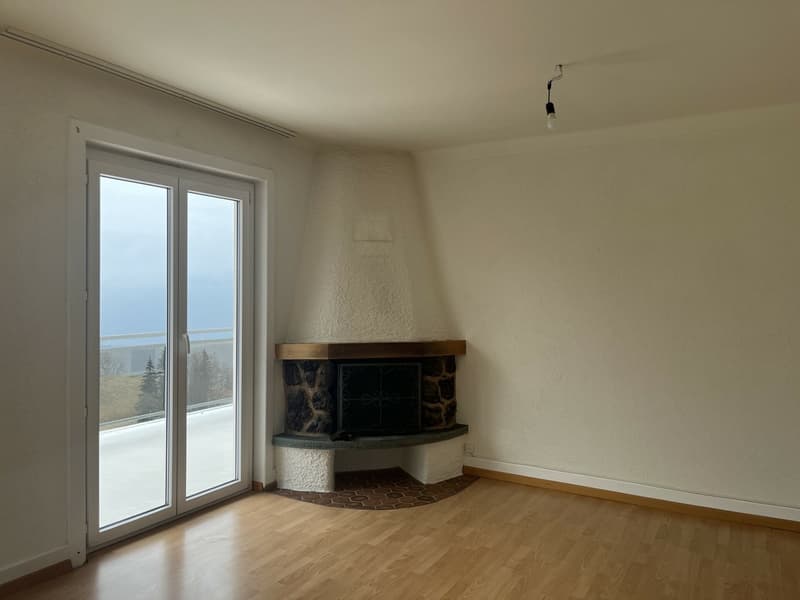 Appartement de 6.5 pièces avec terrasse panoramique (1)
