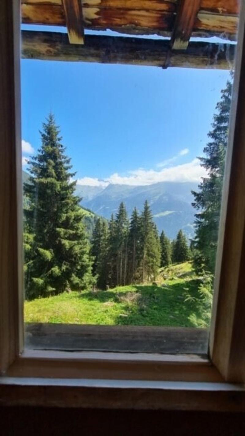 CHALET EXCEPTIONNEL SKI IN & OUT A CLAMBIN ! (13)