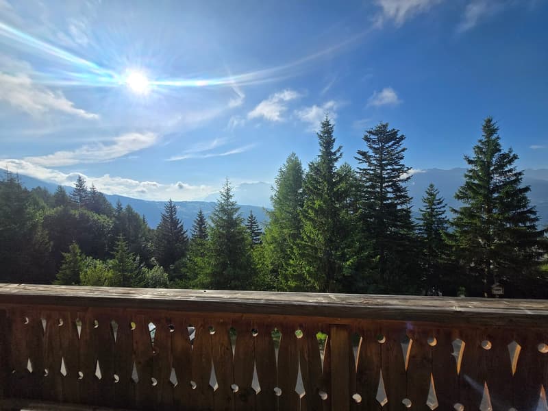 MAGNIFIQUE CHALET 10 PIECES A ANZERE - VUE IMPRENABLE & SOLEIL TOP (10)