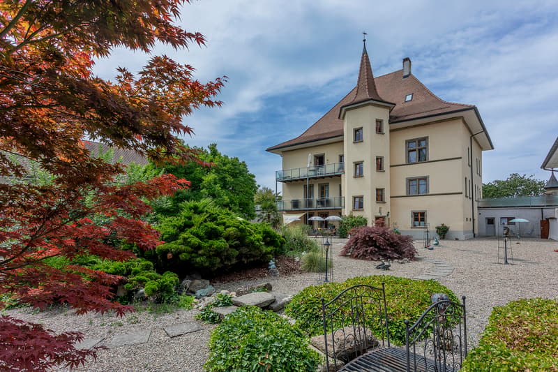 DOMAINE D'EXCEPTION AU COEUR DE DOMDIDIER (1)