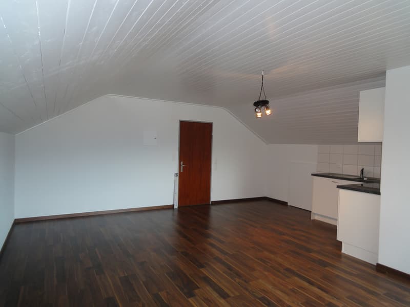 Kueche_Wohn-Schlafzimmer_2.JPG