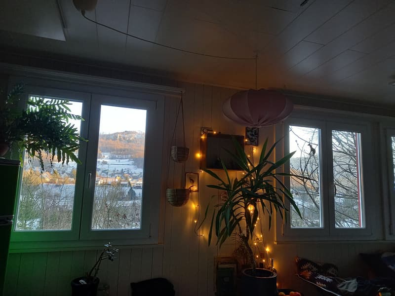 20260105_154701.jpg