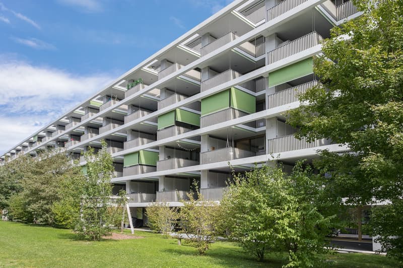 Zug_Theilerstrasse_5-7_20_von_20_1.jpg