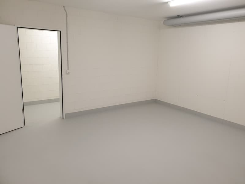 E1.jpg