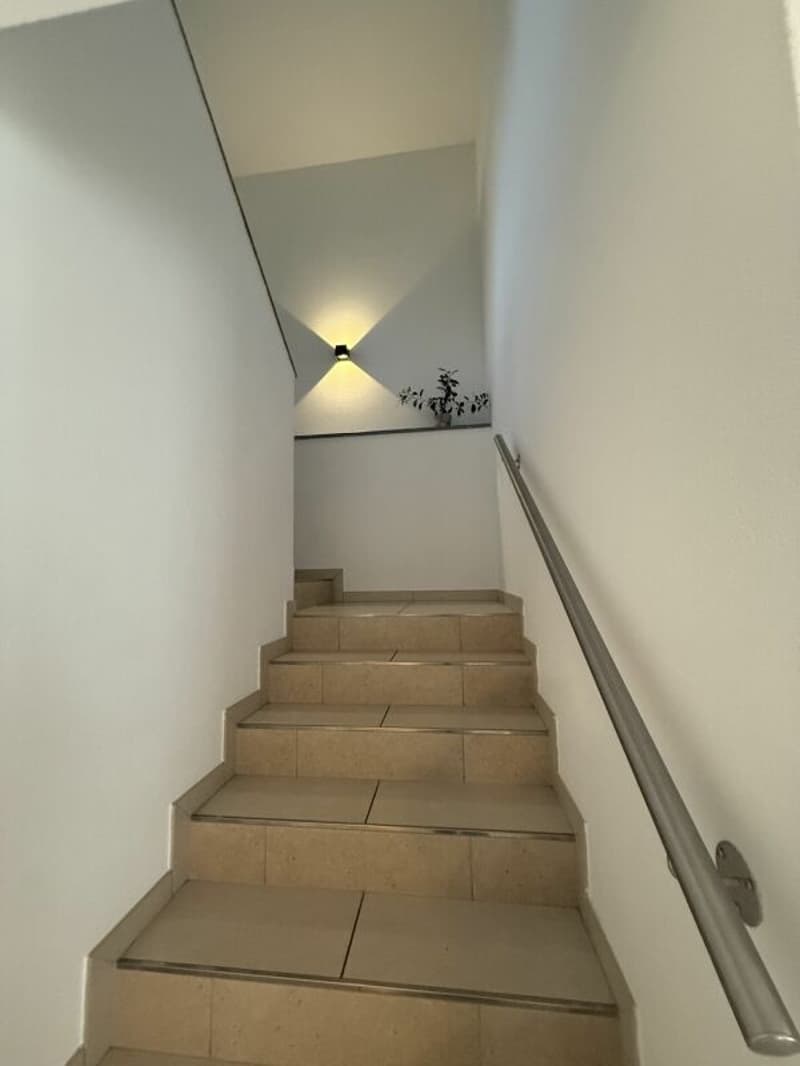 Spacious semi-detached house with sunny garden - Gorduno (5)