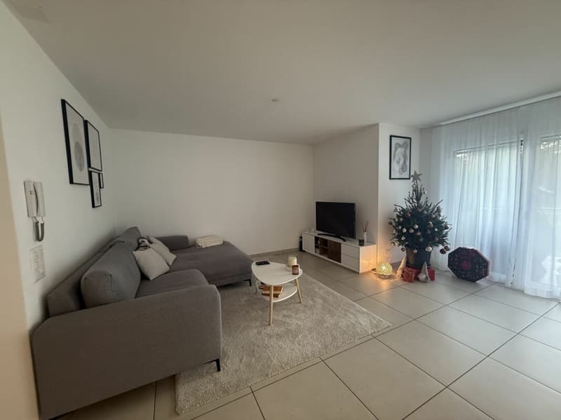 Spacious semi-detached house with sunny garden - Gorduno (4)