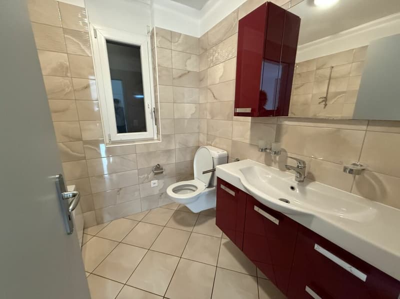 Spacious semi-detached house with sunny garden - Gorduno (11)
