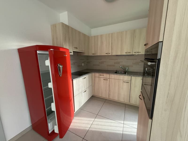 Spacious semi-detached house with sunny garden - Gorduno (9)