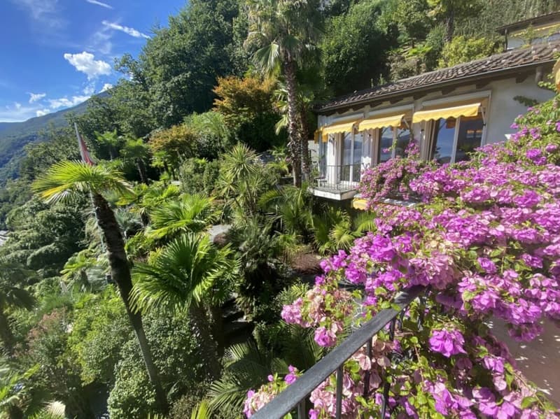 Villa méditerranéenne avec piscine à débordement et vue panoramique sur le lac Majeur - Brissago (6)