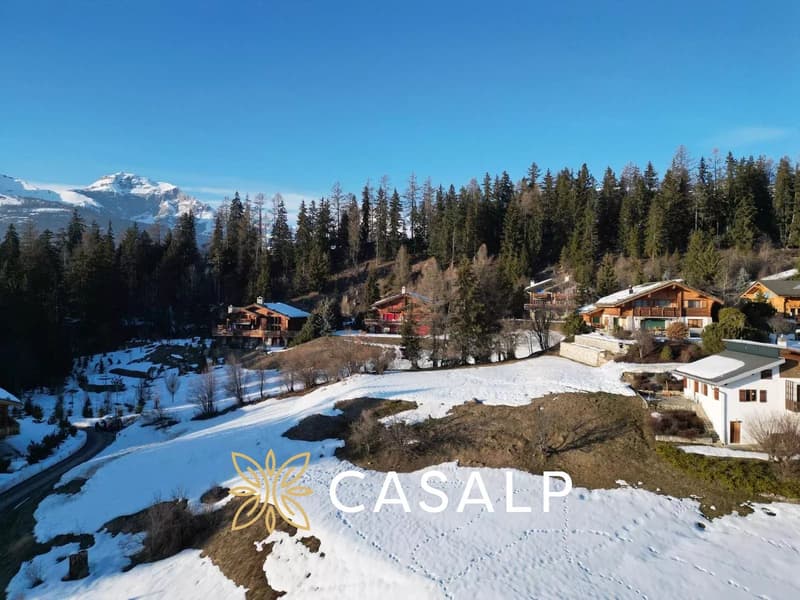 Exceptional land in Créhavouettaz - Crans-Montana (4)