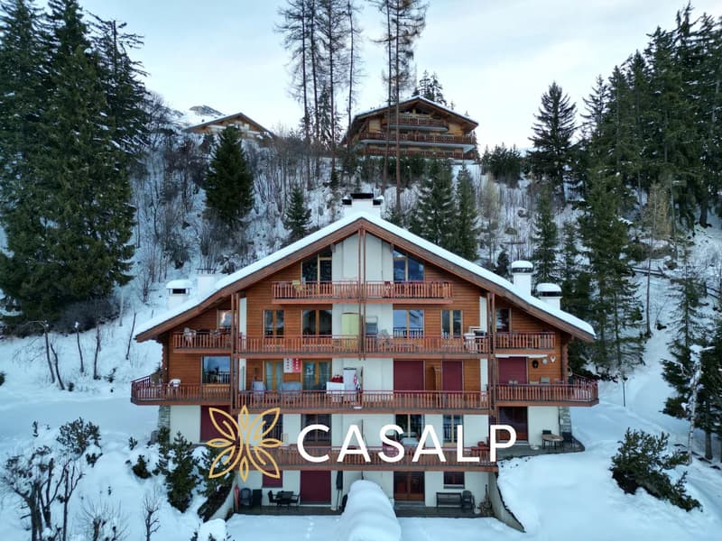 Charming 2.5-room apartment at the foot of the slopes (7)