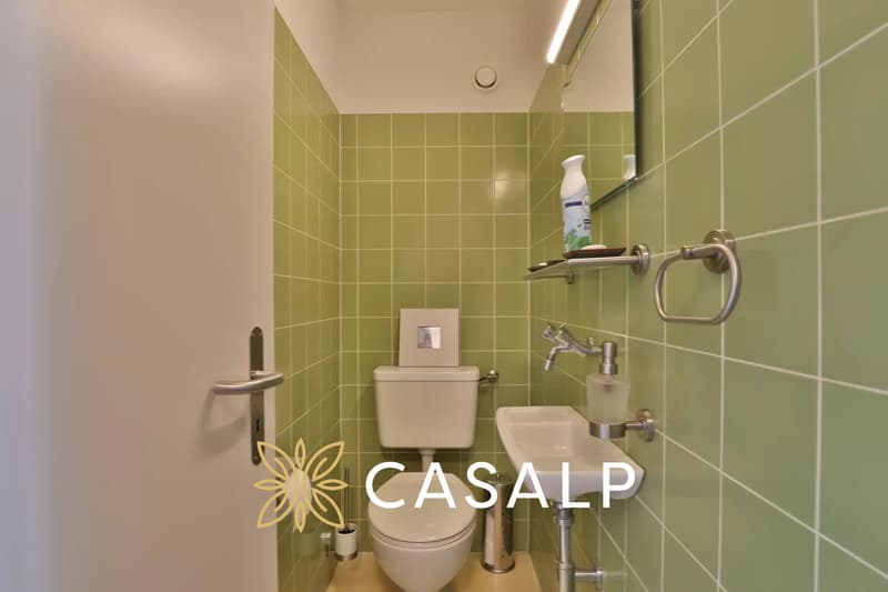 Schönes 2.5-Zimmer-Apartment mit Südausrichtung in Montana (13)