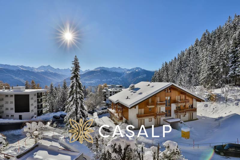 Superbe 2.5 pièces rénové au pied des pistes (2)