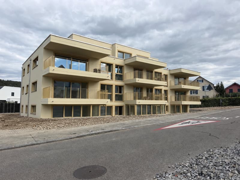 Erstbezug im Eigentumsstandard – 4.5 Zimmer mit 14 m² Balkon (1)