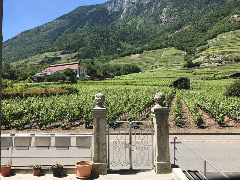 Beautiful opportunity for investors in the center of Fully (5)