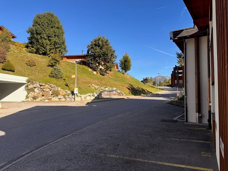 Appartamento arredato 2,5 locali (7)