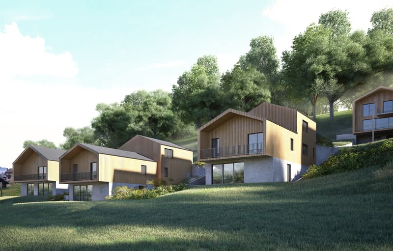 Magnifico Chalet-Villa mitoyen 4,5 pezzi a Vérossaz (4)