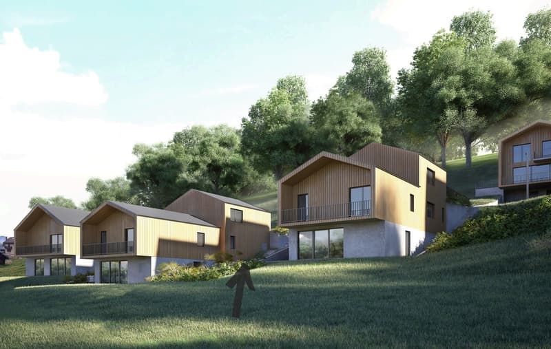 Magnificent Semi-Detached Chalet-Villa 4.5 rooms in Vérossaz (2)