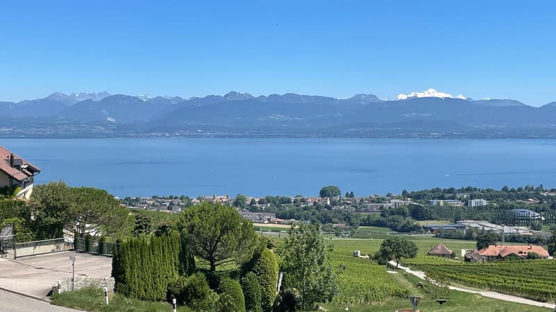 En exclusivité - Duplex de standing avec vue sur le Lac et les Alpes, à 5 minutes de Rolle (1)