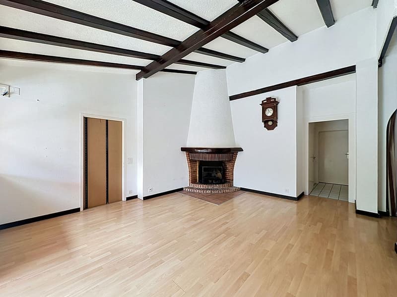 En exclusivité - Grand appartement avec jardin privatif, terrasse et balcon (7)