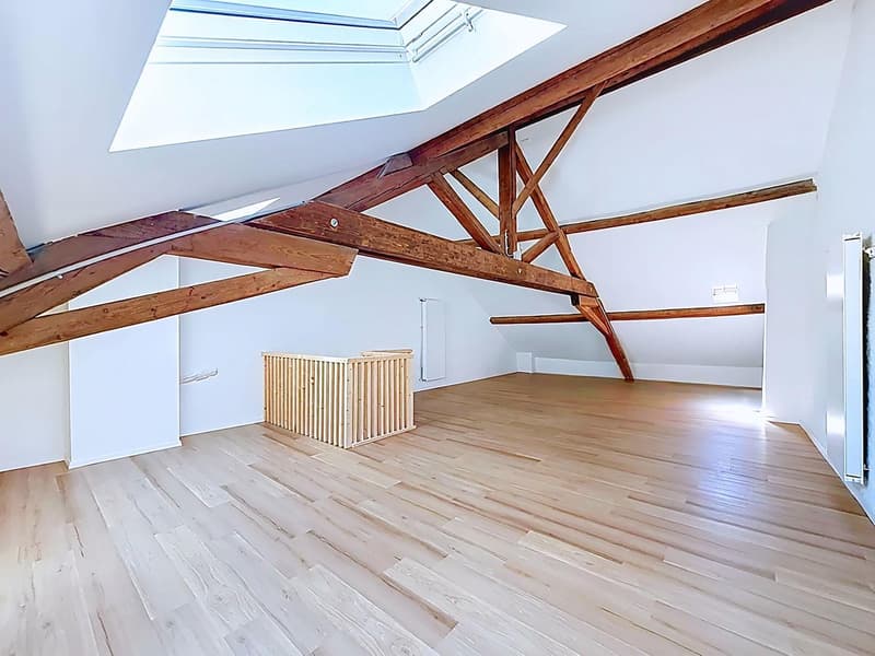 Casa affascinante ristrutturata con arcata commerciale (5)