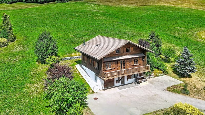 Exclusive - Individual chalet with lake view (2)