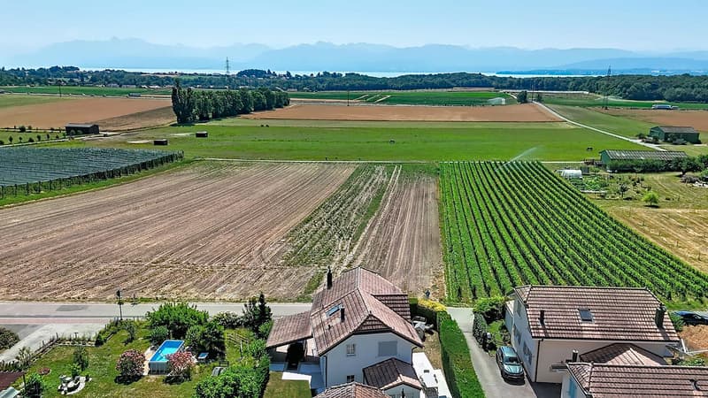 Einfamilienhaus am Rande einer landwirtschaftlichen Zone (5)