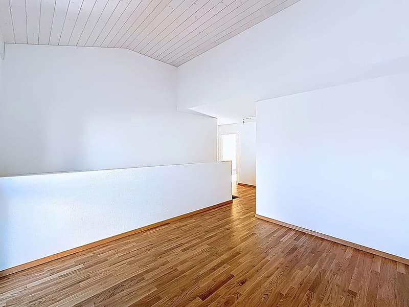 Villa a schiera di 7 locali con giardino (9)