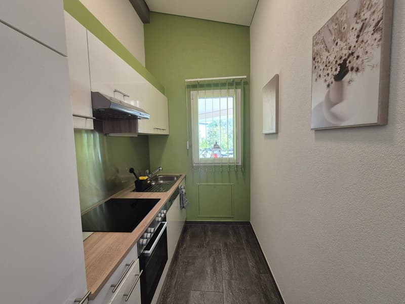 LA TOUR-DE-TRÊME / 13 m2 premises (6)