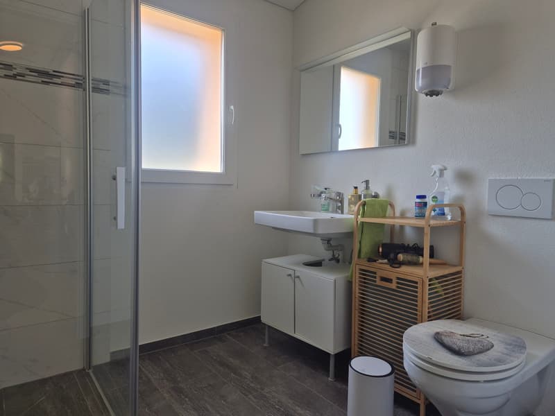 LA TOUR-DE-TRÊME / 13 m2 premises (7)