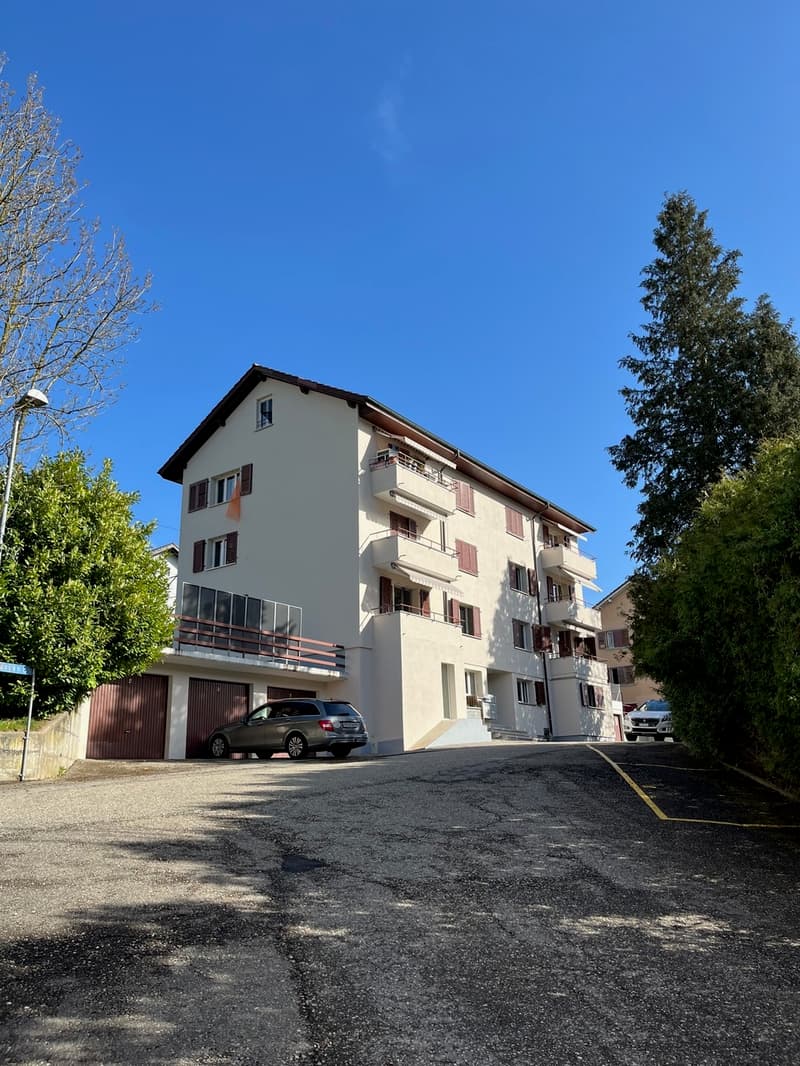 Appartamento di 3.5 locali completamente ristrutturato (1)