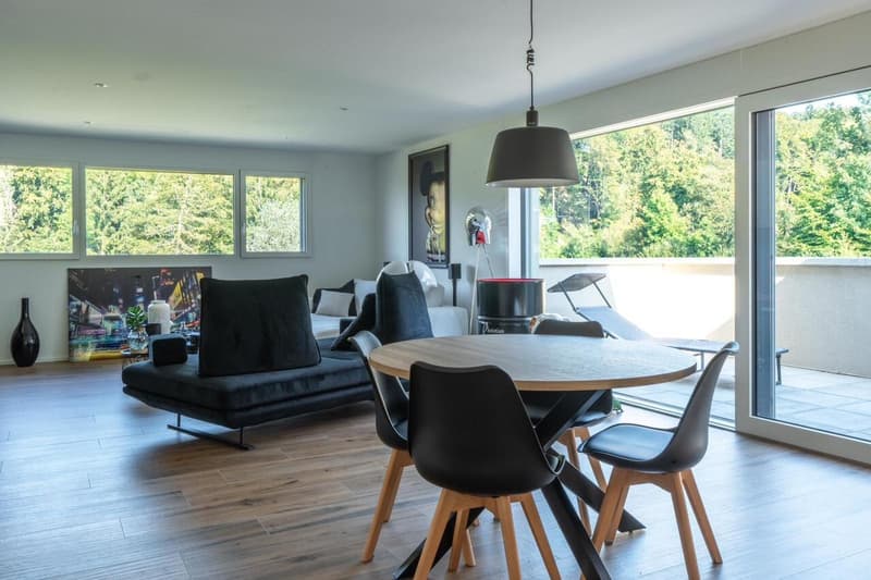 BONNEFONTAINE - Maison individuelle moderne de 185 m2 (4)