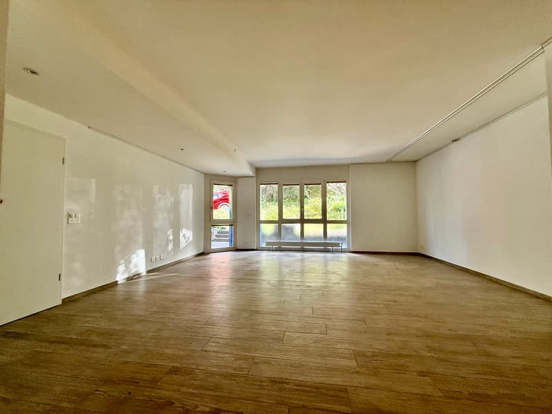 3.5 rooms on the ground floor (2)
