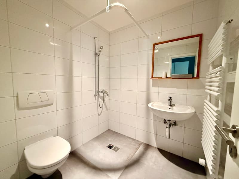 3.5 rooms on the ground floor (4)